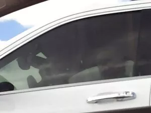 فاحشه کلی ولز می شود ...