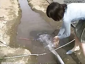 رئیس جدید fucks پخش  ...