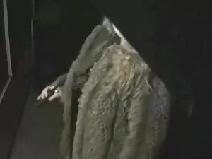 لزبین نوجوان آلینا ل ...